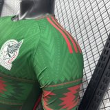 2026  Mexico Special Edition  Player Version Soccer Jersey
