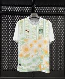 26/27 Cote d'Ivoire Away Fans Soccer Jersey