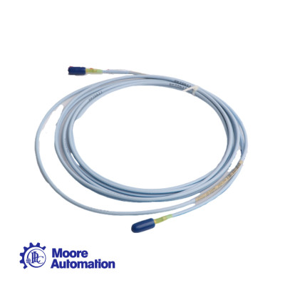 Bently Nevada 330930-065-04-CN Extension Cable