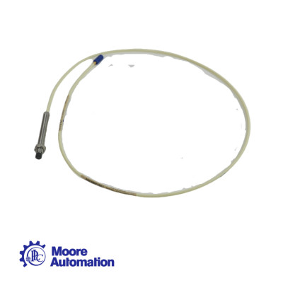 Bently Nevada 21504-00-12-10-02 Extension Cable