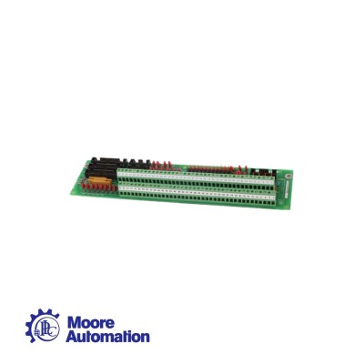 GE DS200TBQBG1ACB Analog I/O Terminal Board