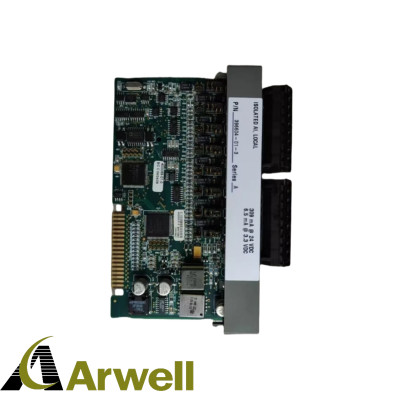 Emerson  396604-01-3  Analog Input Module