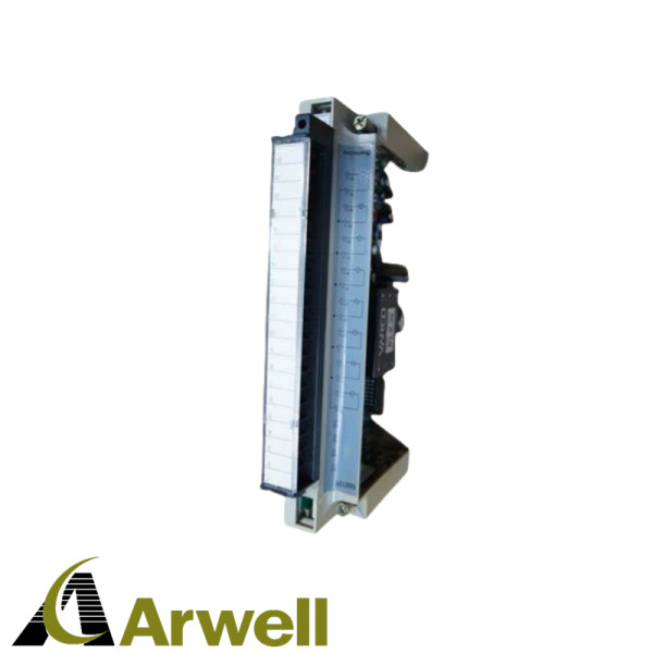 HITACHI	XAGC12HC Analog Input Module