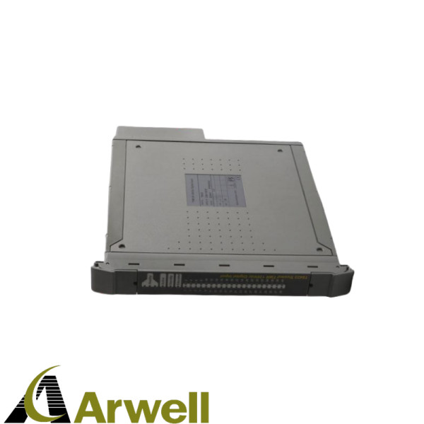ICS TRIPLEX TC-301-02-4M5