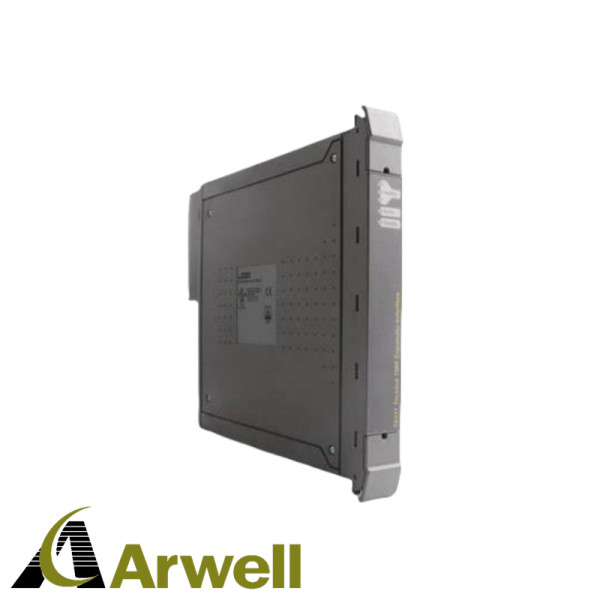 ICS TRIPLEX  T9881 Analogue Output Module