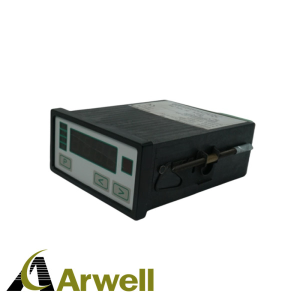 NEGELE PROZESSORANZEIGE DPM-GS-2GW-S Universal Digital Indicator