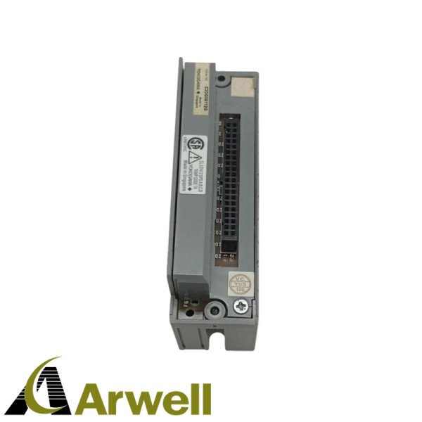 YOKOGAWA  ATA4S-00 S2 analog input modules