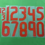 24-25 Algeria Home Player Version Soccer Jersey