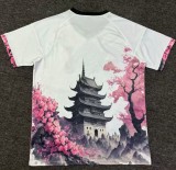 24-25 Japan Special Edition Fans Version Soccer Jersey