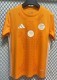 24-25 Algeria orange Special Edition Fans Soccer Jersey