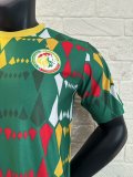 24-25 Senegal Green Special Edition Player Version Training Shirts