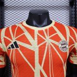 24-25 Bayern Special Edition Player Version Soccer Jersey