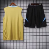 24-25 Argentina High quality Tank Top And Shorts Suit