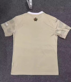 22-23 AJax Third Fans Version Soccer Jersey