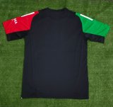 24-25 ARS Special Edition Fans Soccer Jersey