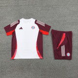 24-25 Bayern High Quality Training Short Suit