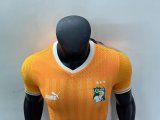 22-23 Cote d'Ivoire 3 stars Player Soccer Jersey