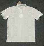 24-25 Nigeria Away Fans Soccer Jersey