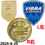 24-25 Argentina Special Edition Player Version Soccer Jersey