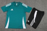 2024 AD Green Training Short Suit