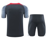 24-25 LIV High Quality Training Short Suit