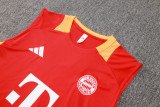 24-25 Bayern High quality Tank Top And Shorts Suit