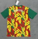 24-25 Senegal Special Edition Fans Version Soccer Jersey