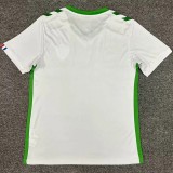 24-25 Saint Etienne Away Fans Soccer Jersey