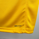 22-23 Lakers JAMES JR. #9 Yellow Top Quality Hot Pressing NBA Jersey