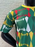 24-25 Senegal Green Special Edition Player Version Training Shirts