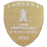 24-25 Fluminense Pink Special Edition Fans Soccer Jersey