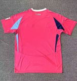 24-25 Schalke Special Edition Fans Soccer Jersey