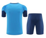 24-25 Palmeiras High Quality Training Short Suit