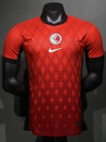 24-25 Hong Kong Home Player Soccer Jersey