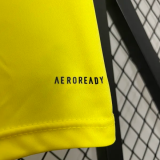 24-25 Flamengo Yellow Training shirts