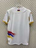2024 Armenia European Cup Away Fans Version Soccer Jersey