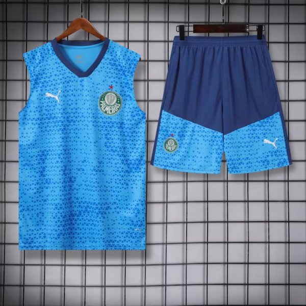 24-25 Palmeiras High quality Tank Top And Shorts Suit