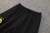 24-25 Dortmund High Quality Half Pull Tracksuit