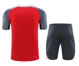 24-25 LIV High Quality Training Short Suit