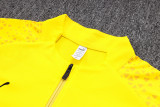 23-24 Dortmund High Quality Half Pull Tracksuit