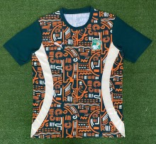 24-25 Cote d'Ivoire Special Edition Fans Version Soccer Jersey