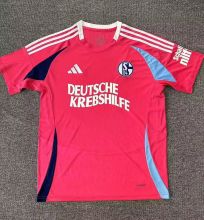 24-25 Schalke Special Edition Fans Soccer Jersey