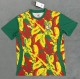 24-25 Senegal Special Edition Fans Version Soccer Jersey