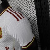 2024 Spain Special Edition Player Version Soccer Jersey