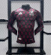 24-25 Mexico Home Long sleeves Player Version Soccer Jersey