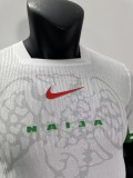 24-25 Nigeria Home Player Version Soccer Jersey