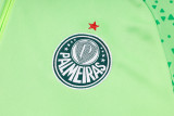24-25 Palmeiras High Quality Half Pull Tracksuit
