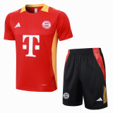 24-25 Bayern High Quality Training Short Suit