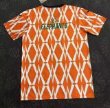 23-24 Cote d'Ivoire Special Edition Fans Version Soccer Jersey