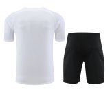 23-24 PSG High Quality Training Short Suit